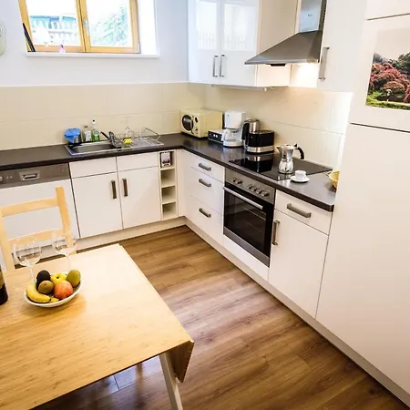 Wunderschoene In Sanierter Villa! Incl Wifi Appartement Dresde