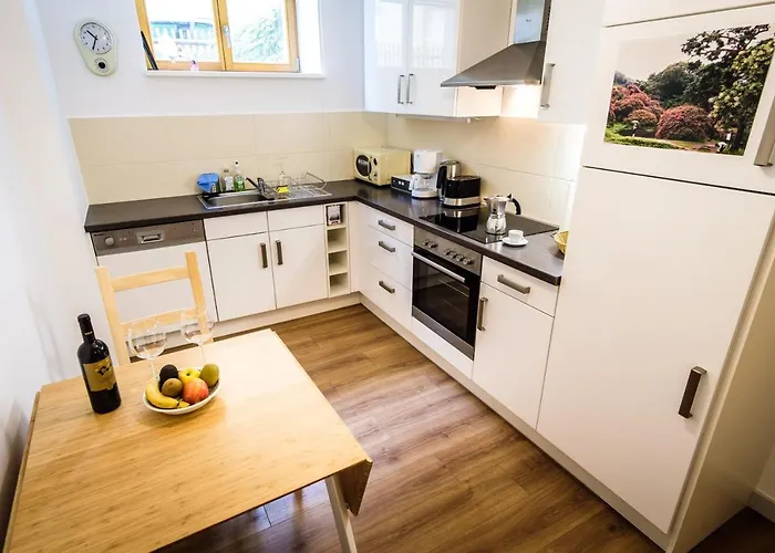 Wunderschoene In Sanierter Villa! Incl Wifi Appartement Dresden