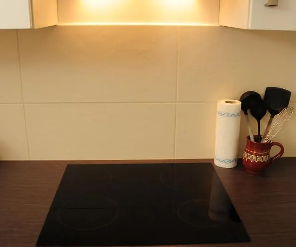 Appartement Wunderschoene In Sanierter Villa! Incl Wifi *