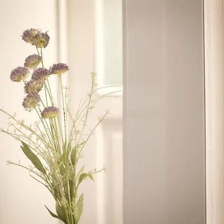 Wunderschoene In Sanierter Villa! Incl Wifi * Drážďany